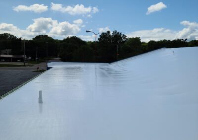 Piggly Wiggly - Completed Silicone System Over TPO Substrate