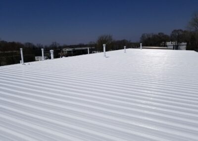 Roof white coating