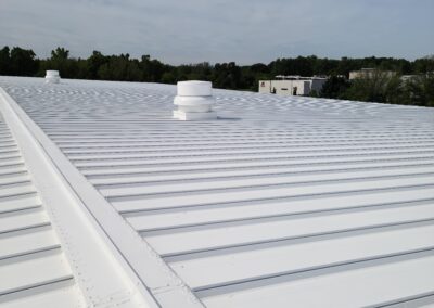 Rubber roof coatings